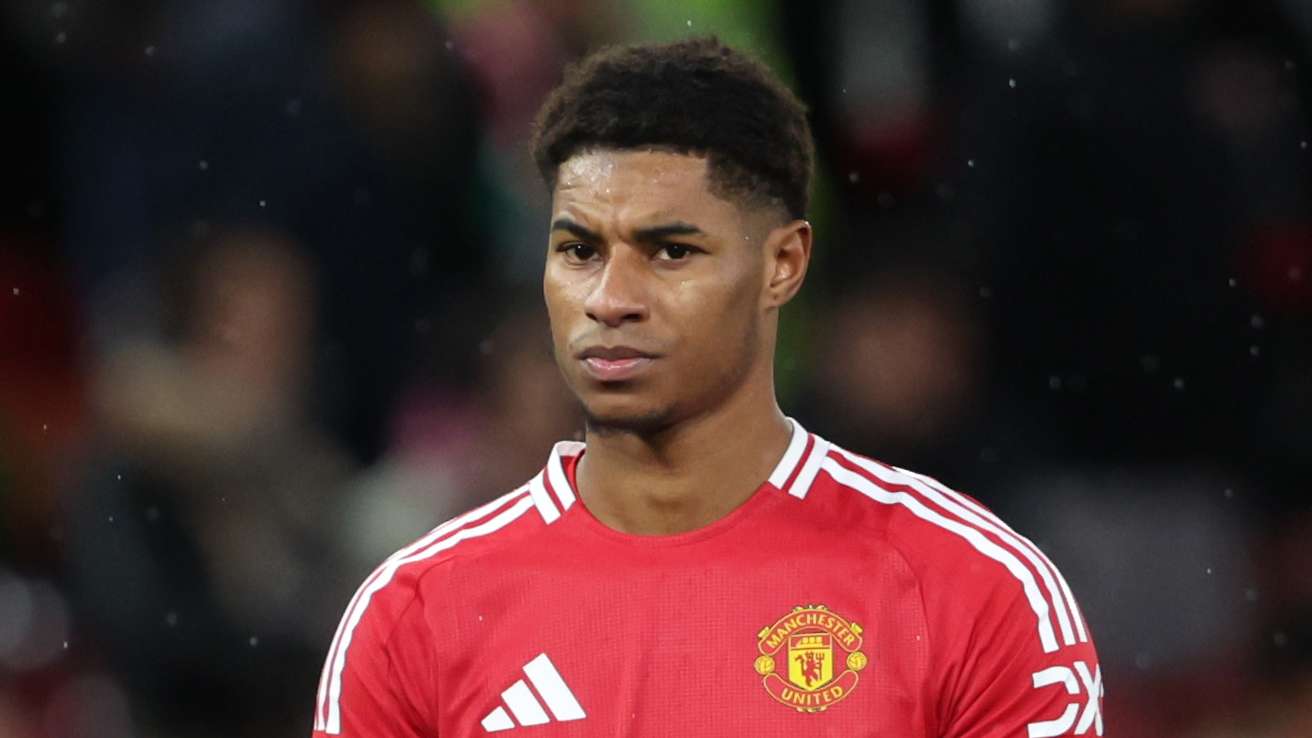 供一个多样 供一个多样